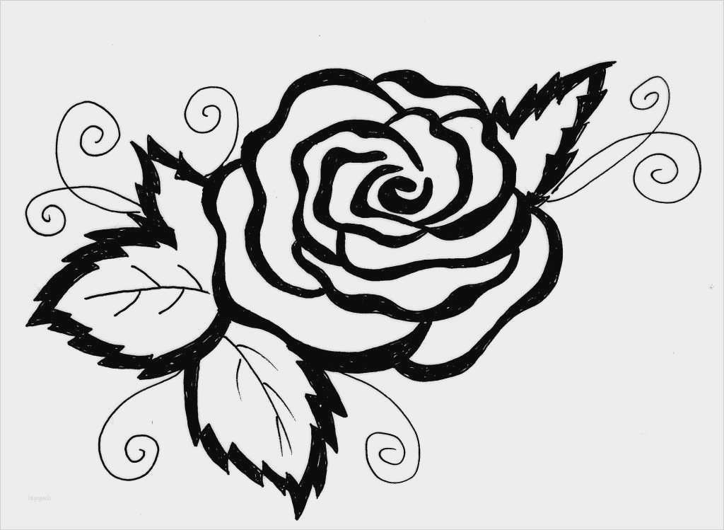 Scherenschnitt Vorlagen Kostenlos Genial Fantastisch Malvorlagen Aus Blumen Und Rosen Bilder