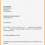 Schlüsselübergabe Arbeitgeber Vorlage Schönste 5 Muster Kündigung Arbeitgeber