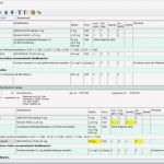 Schmerztagebuch Vorlage Angenehm Fantastisch Medikamentenliste Vorlage Ideen Entry Level