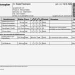 Schmerztagebuch Vorlage Beste Fantastisch Medikamentenliste Vorlage Ideen Entry Level