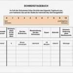 Schmerztagebuch Vorlage Erstaunlich Neurologische Regulierung Humaner Lebensprozesse – Vom