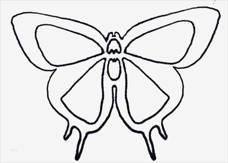 Schmetterling Vorlage Best Of Schmetterling Basteln Schmetterlinge Aus Filz Papier