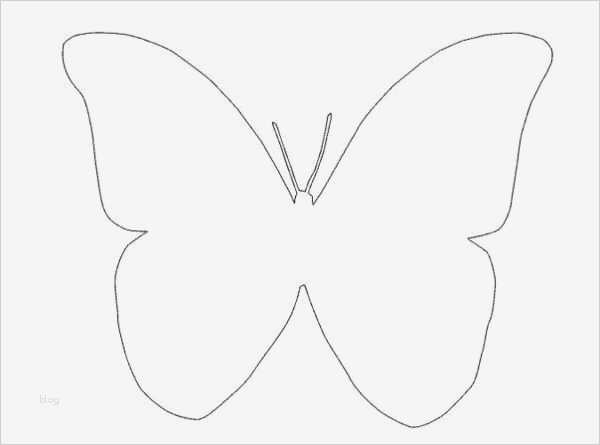 Schmetterling Vorlage Cool Schmetterling Vorlage … Schmetterlinge