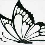 Schmetterling Vorlage Elegant Wandtattoo Schmetterling Vorlage