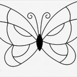 Schmetterling Vorlage Erstaunlich Schmetterling Zeichnen Vorlage