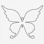 Schmetterling Vorlage Fabelhaft Die Besten 17 Ideen Zu Schmetterling Vorlage Auf Pinterest