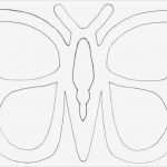 Schmetterling Vorlage Fabelhaft Schmetterling Vorlage Fensterbild 595 Malvorlage Vorlage