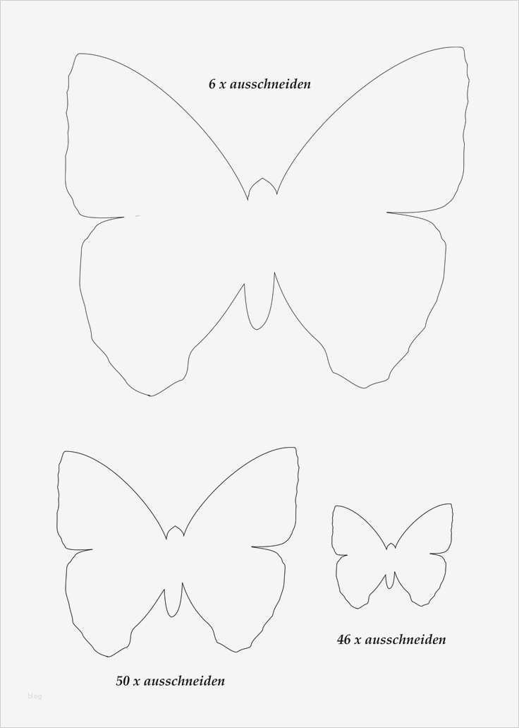 Schmetterling Vorlage Hübsch Die Besten 25 Schmetterling Vorlage Ideen Auf Pinterest