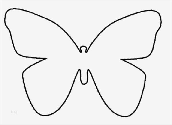 Schmetterling Vorlage Luxus Schmetterling Vorlage …