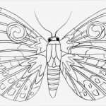 Schmetterling Vorlage Neu Malvorlage Leicht Schmetterling