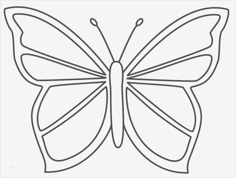 Schmetterling Vorlage Zum Ausdrucken Angenehm Schmetterlinge Ausmalbilder Zum Ausdrucken Dekoking