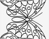 Schmetterling Vorlage Zum Ausdrucken Best Of Malvorlagen Schmetterlinge Blumen Zum Drucken
