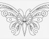 Schmetterling Vorlage Zum Ausdrucken Bewundernswert Schmetterling Basteln Schmetterlinge Aus Filz Papier