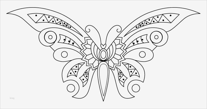 Schmetterling Vorlage Zum Ausdrucken Bewundernswert Schmetterling Basteln Schmetterlinge Aus Filz Papier