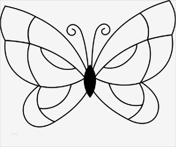 Schmetterling Vorlage Zum Ausdrucken Elegant 5 Schmetterling Vorlage