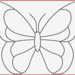 Schmetterling Vorlage Zum Ausdrucken Fabelhaft Schmetterling Schablone Zum Ausdrucken Kostenlos