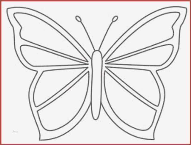 Schmetterling Vorlage Zum Ausdrucken Genial Schmetterling Schablone Zum Ausdrucken Kostenlos