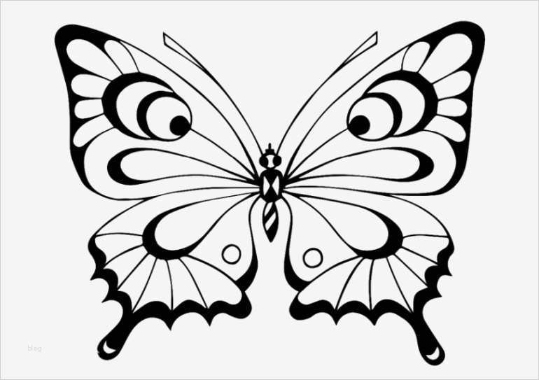 Schmetterling Vorlage Zum Ausdrucken Genial Vorlagen Zum Ausmalen Malvorlagen Schmetterling Ausmalbilder 4