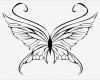Schmetterling Vorlage Zum Ausdrucken Großartig Schmetterling Malvorlagen