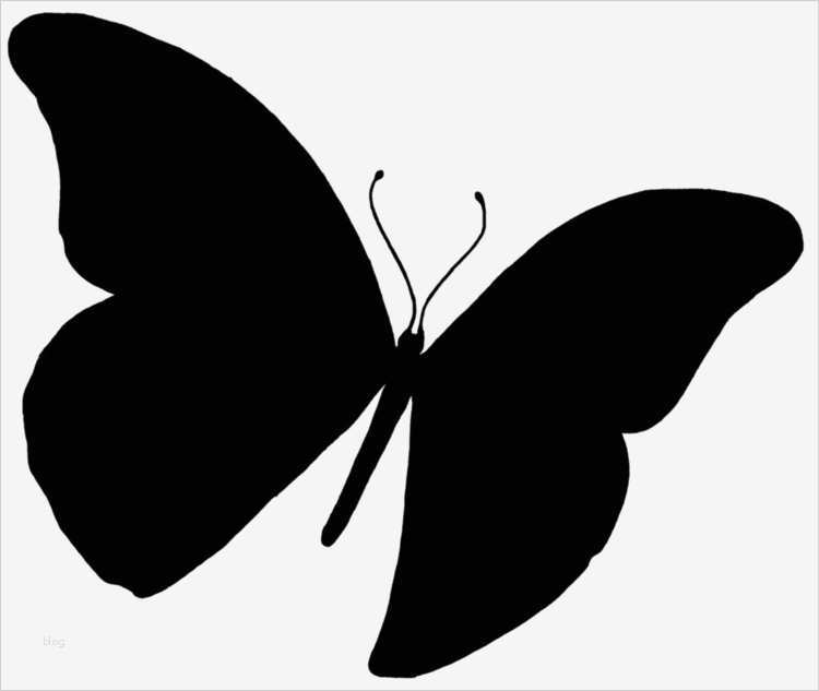 Schmetterling Vorlage Zum Ausdrucken Großartig Wandschablonen Zum Ausdrucken 34 Vorlagen Mit tollen Motiven