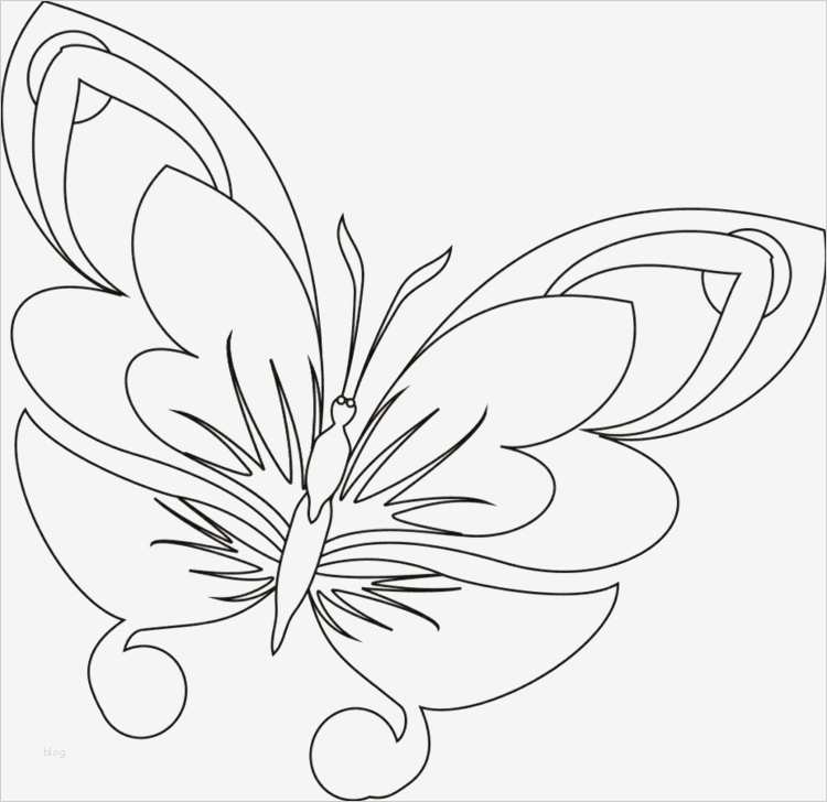 Schmetterling Vorlage Zum Ausdrucken Großartig Zentangle Vorlagen Gratis Ausdrucken Zum Ausmalen