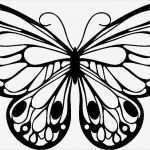 Schmetterling Vorlage Zum Ausdrucken Inspiration Schablone Schmetterling 15x15cm Bastel Creativshop