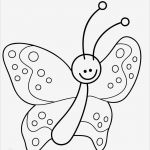 Schmetterling Vorlage Zum Ausdrucken Schön Ausmalbild Natur Lustiger Kleiner Schmetterling Kostenlos