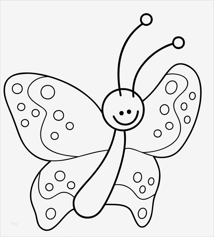 Schmetterling Vorlage Zum Ausdrucken Schön Ausmalbild Natur Lustiger Kleiner Schmetterling Kostenlos