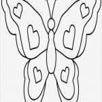Schmetterling Vorlage Zum Ausdrucken Schön Ausmalbilder Schmetterling 12