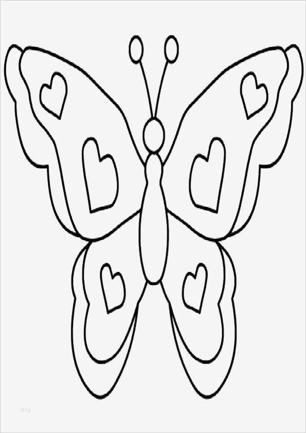 Schmetterling Vorlage Zum Ausdrucken Schön Ausmalbilder Schmetterling 12