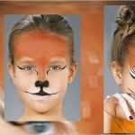 Schminken Karneval Vorlagen Cool Karnevalsschminke Karneval Fasching Fasnet Schminke