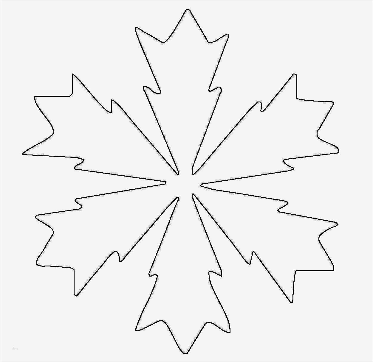 Schneeflocken Vorlage Ausdrucken Schön Kostenlose Malvorlage Schneeflocken Und Sterne