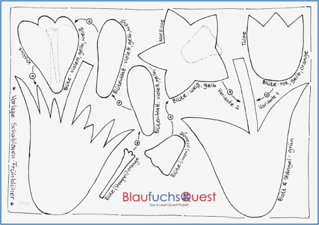 Schneeglöckchen Vorlage Luxus Bunte Boten Im Frühjahr – Tulpe