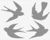 Schneideplotter Vorlagen Erstaunlich Swallow Silhouettes Schwalben Pinterest