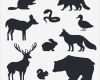 Schneideplotter Vorlagen Erstaunlich Tiere Silhouetten Sammlung