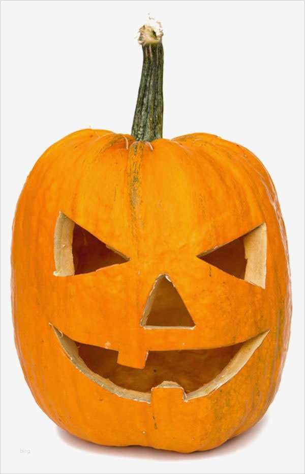 Schnitzen Motorsäge Vorlagen Best Of Kürbis Schnitzen Vorlagen