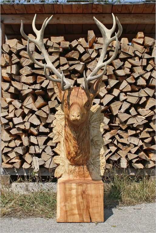 Schnitzen Vorlagen Holz Angenehm Bildergebnis Für Holzschnitzen Vorlagen Für Anfänger