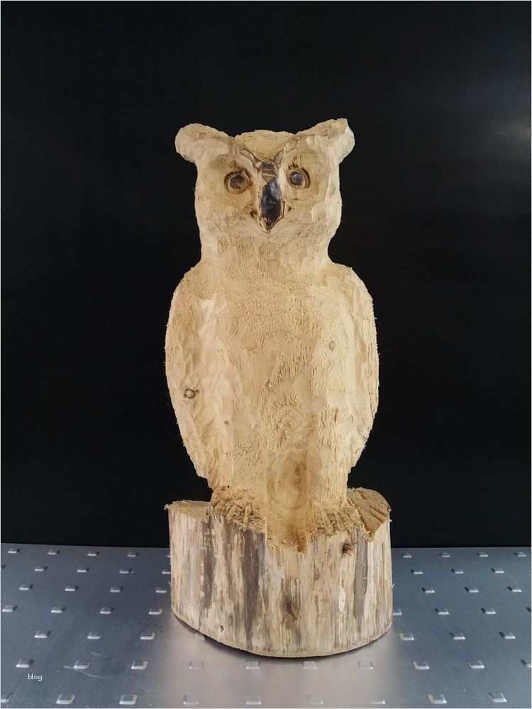 Schnitzen Vorlagen Holz Erstaunlich Eule Aus Holz Kettensäge Schnitzereien Figuren
