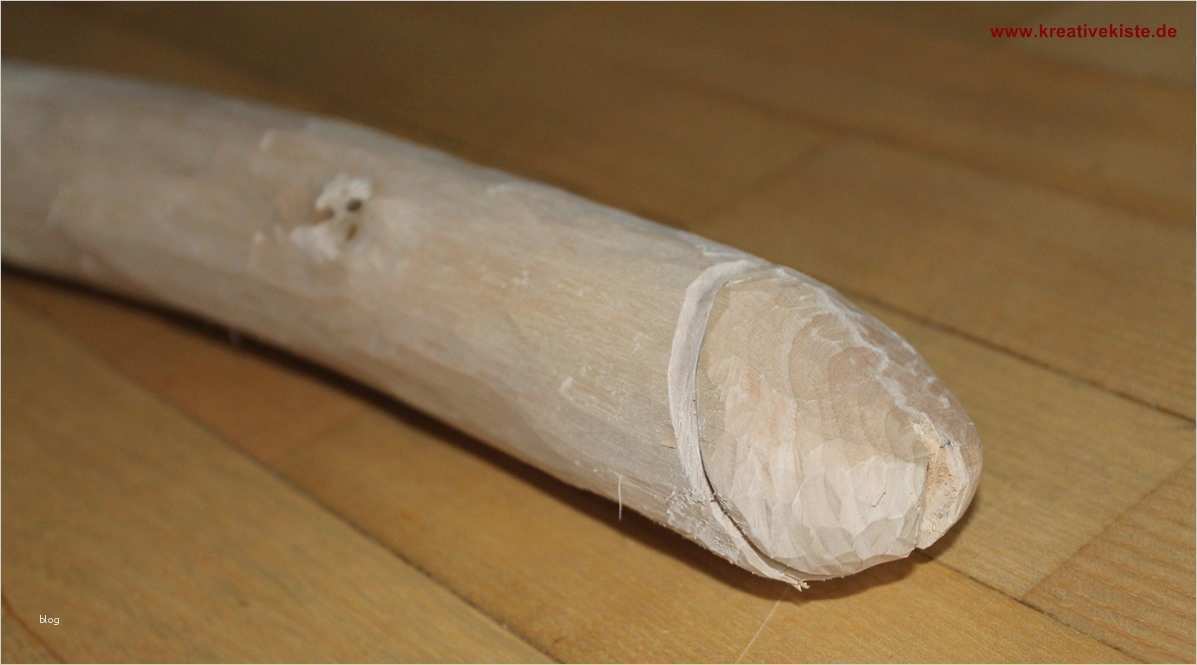 Schnitzen Vorlagen Holz Erstaunlich Kreative Kiste Grünholz Schnitzen