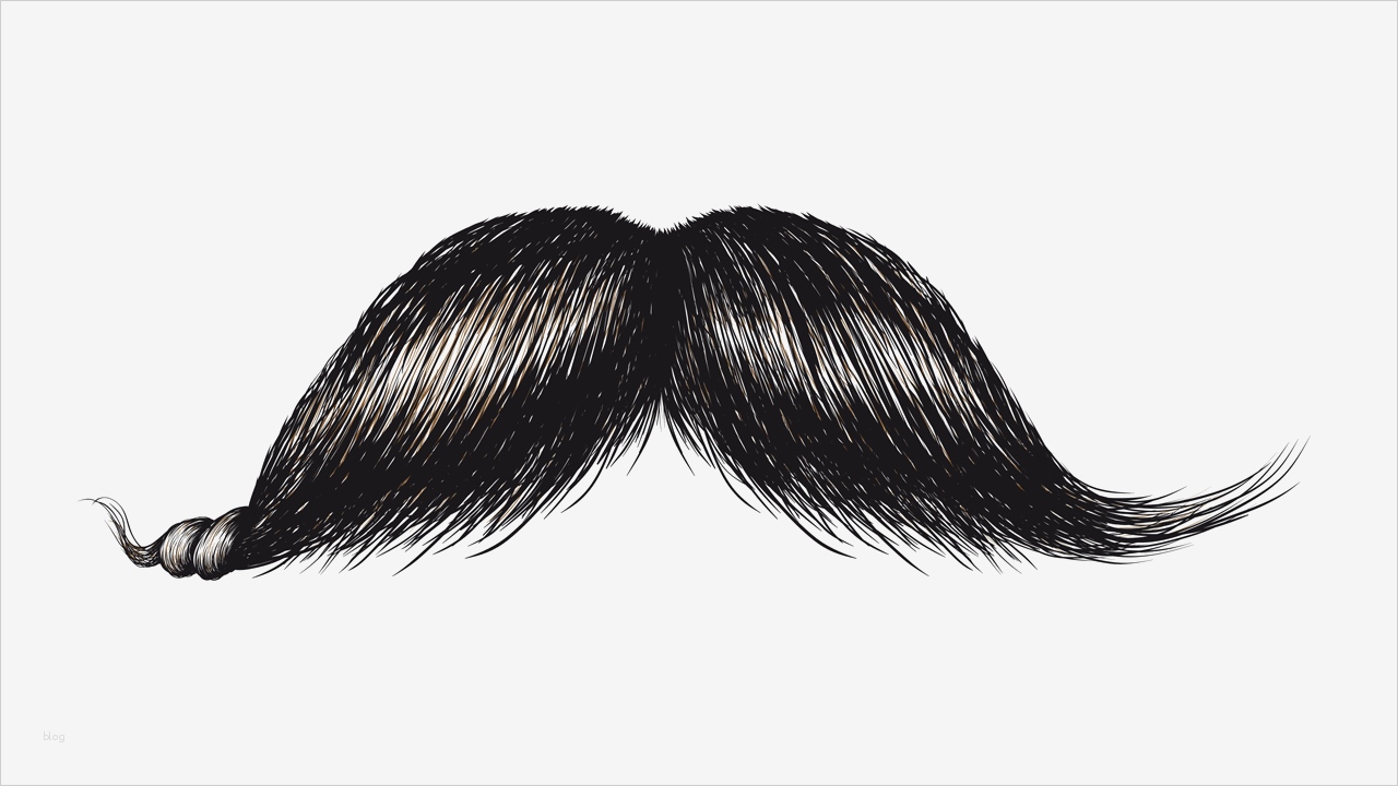 Schnurrbart Vorlage Zum Ausdrucken Neu Mein Schnurrbartonkel Hildebert Ohrenbär