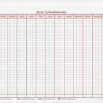 Schöne Excel Tabellen Vorlagen Bewundernswert Gesundheit Kostenlose Mustervorlagen Peschasworld