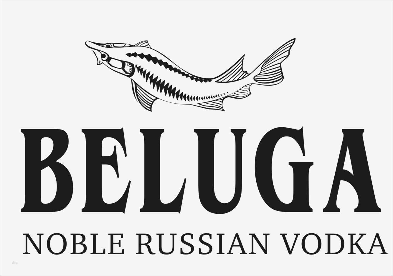 Schönschrift Vorlagen Kostenlos Hübsch Beluga Beluga Vodka