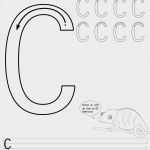 Schreiben Lernen Vorlagen Neu Ziemlich Arbeitsblatt Vorlagen Zeitgenössisch Super