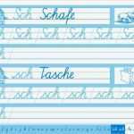 Schreibschrift Vorlagen Cool Elbi Schreiblehrgang Schulausgangsschrift 68 Schreiben