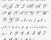 Schrift Vorlagen Erstaunlich Die Besten 25 Tätowierung Schriftarten Alphabet Ideen Auf