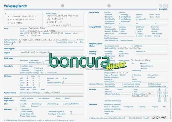 Schriftliche Dokumentation Vorlage Gut Fantastisch Medikations Protokoll Vorlage Fotos