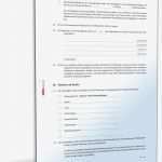 Schriftliche Vereinbarung Arbeitszeitkonto Vorlage Großartig Reinigungsvertrag