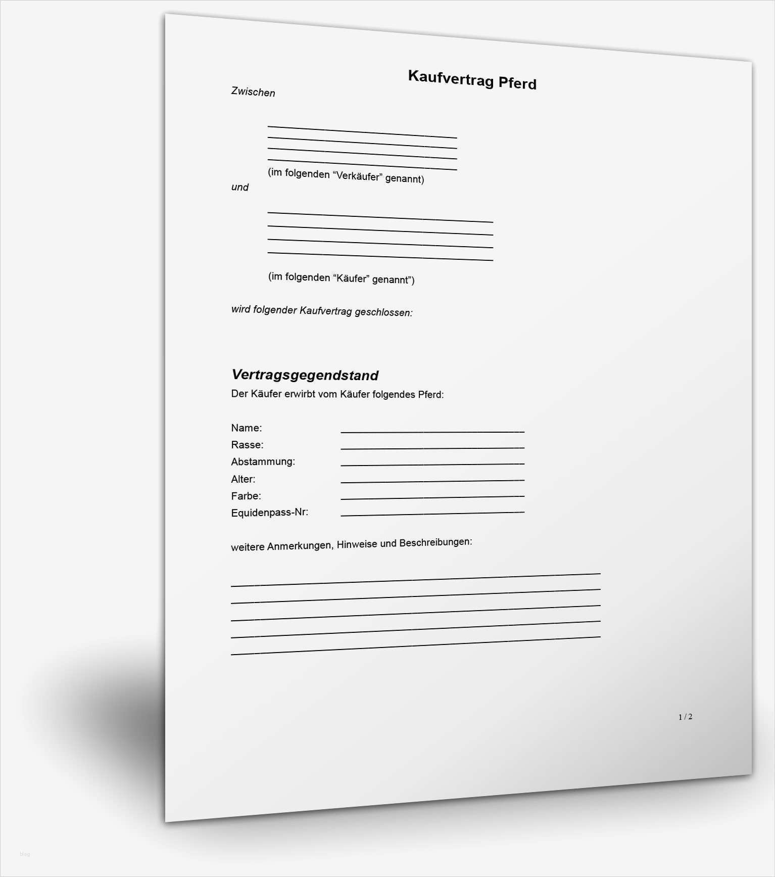 Schriftliche Vereinbarung Vorlage Inspiration Niedlich Private Vereinbarung Vorlage Ideen Entry Level