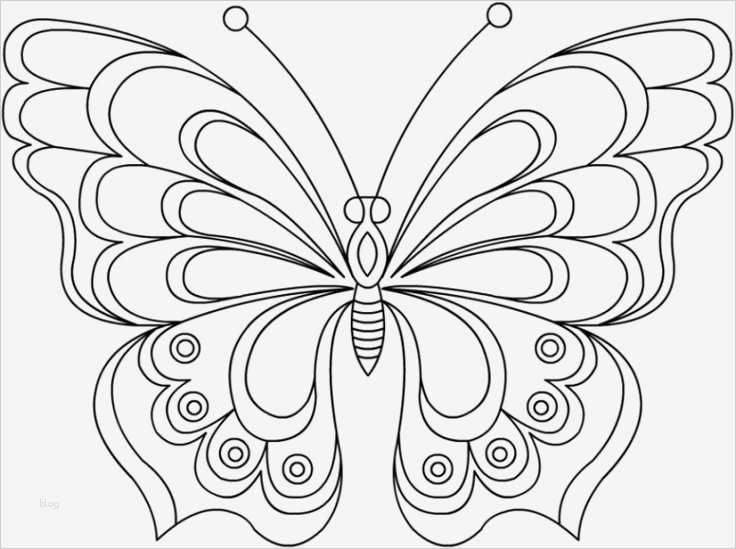 Schrumpffolie Vorlagen Großartig Schmetterling Vorlage Malen Ausmalbilder Von Vorlage
