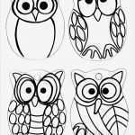 Schrumpffolie Vorlagen Neu 1000 Ideen Zu Schrumpffolie Auf Pinterest